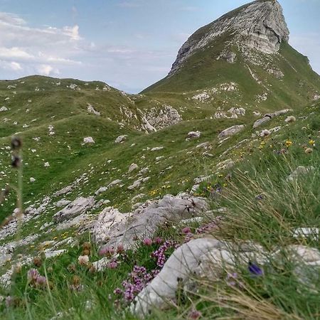 Apartments Durmitor Žabljak Zewnętrze zdjęcie