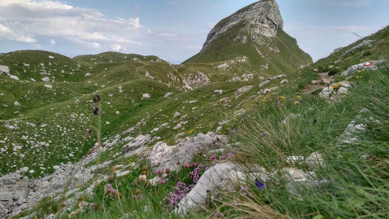 Apartments Durmitor Žabljak Zewnętrze zdjęcie
