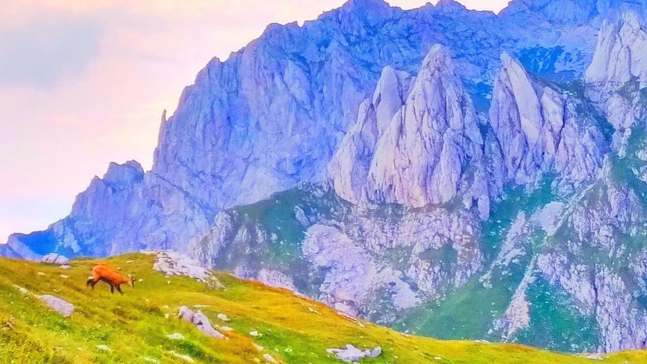 Apartments Durmitor Žabljak Zewnętrze zdjęcie